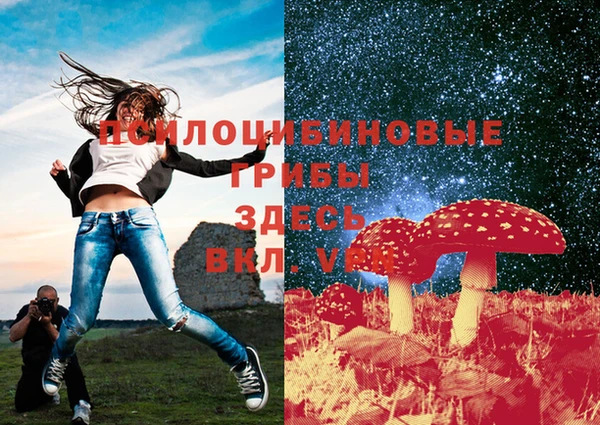 дурь Саяногорск
