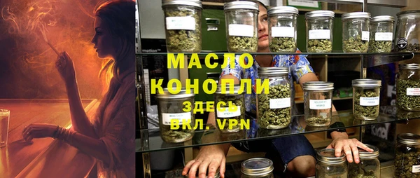 сатива Гусев