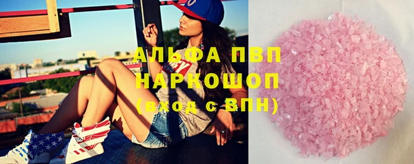 сатива Гусев