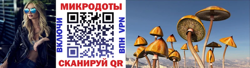 Псилоцибиновые грибы прущие грибы  наркота  kraken онион  Ковров 
